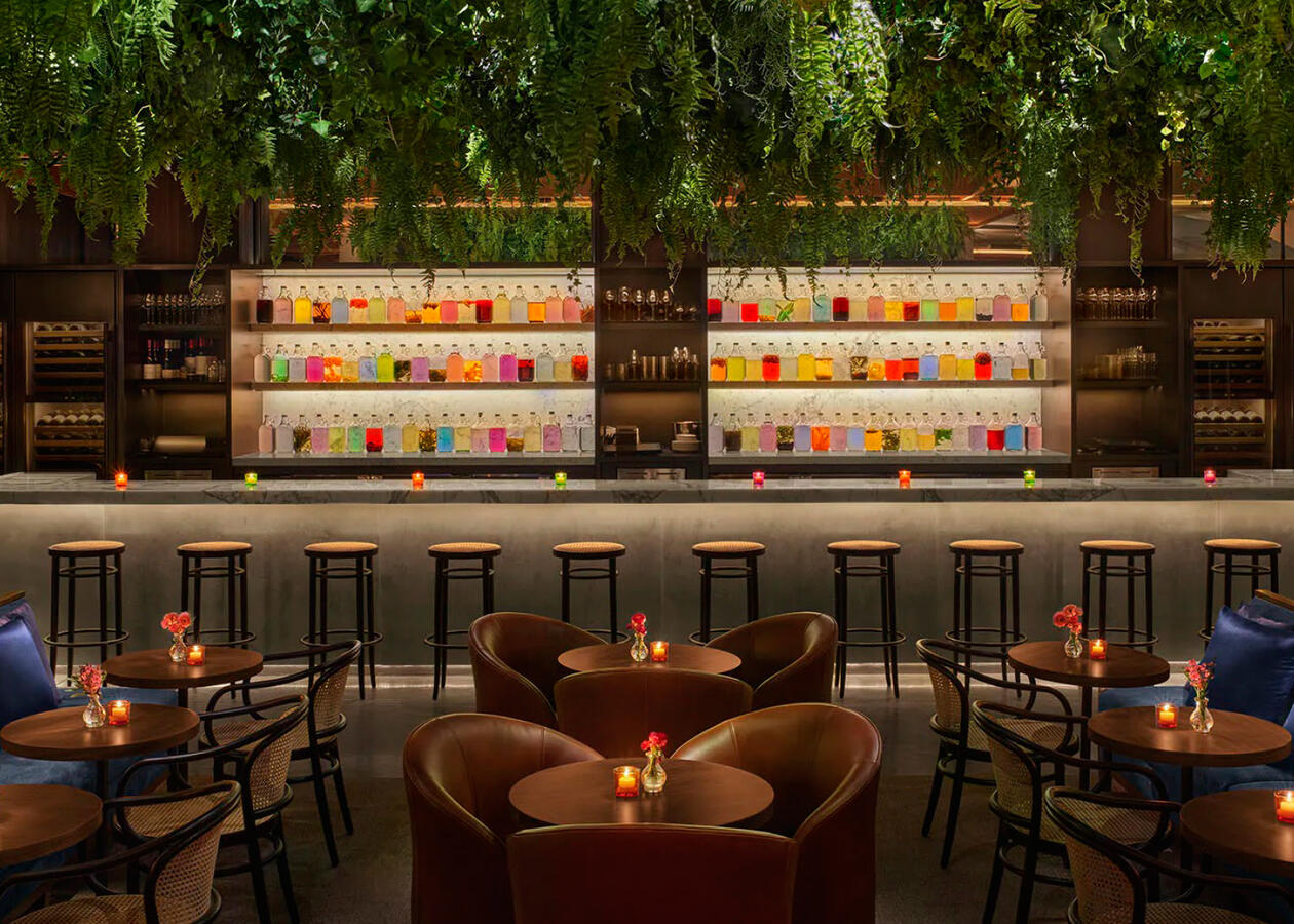 Rooftop Bar